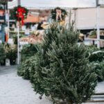 10 faits surprenants sur Noël et la nativité : les anecdotes de Noël